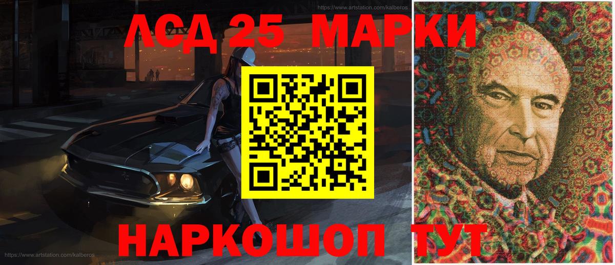 Галлюциногенные грибы Псков