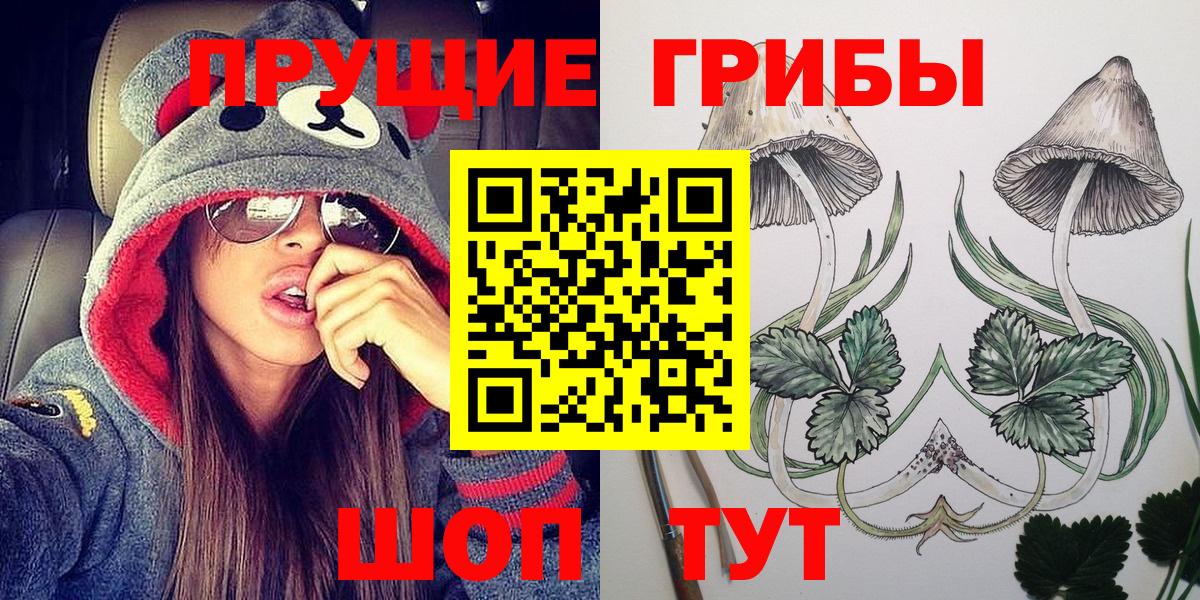 Псилоцибиновые грибы Cubensis  Вход с VPN  Псков 